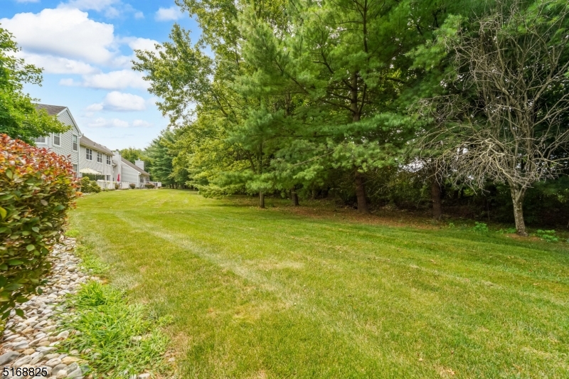 1805 Scarlett Dr