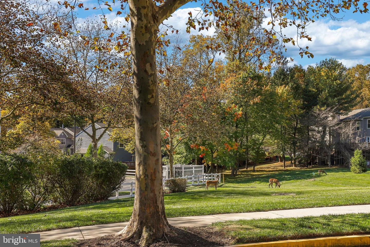 9413 Groffs Mill DRIVE Unit: 9413