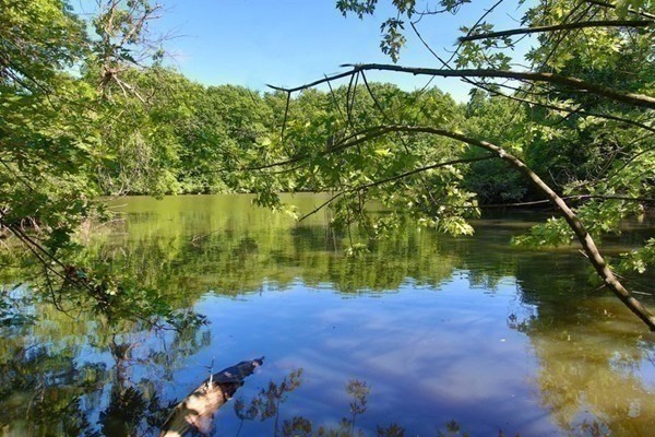 33 Pond Avenue # 405