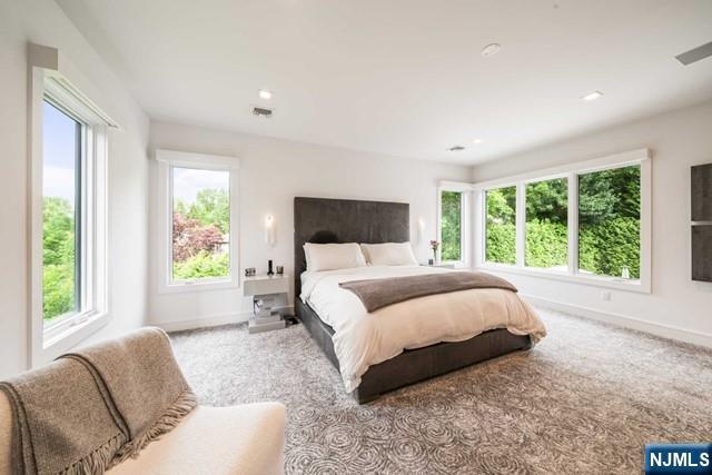 202 Alpine Drive