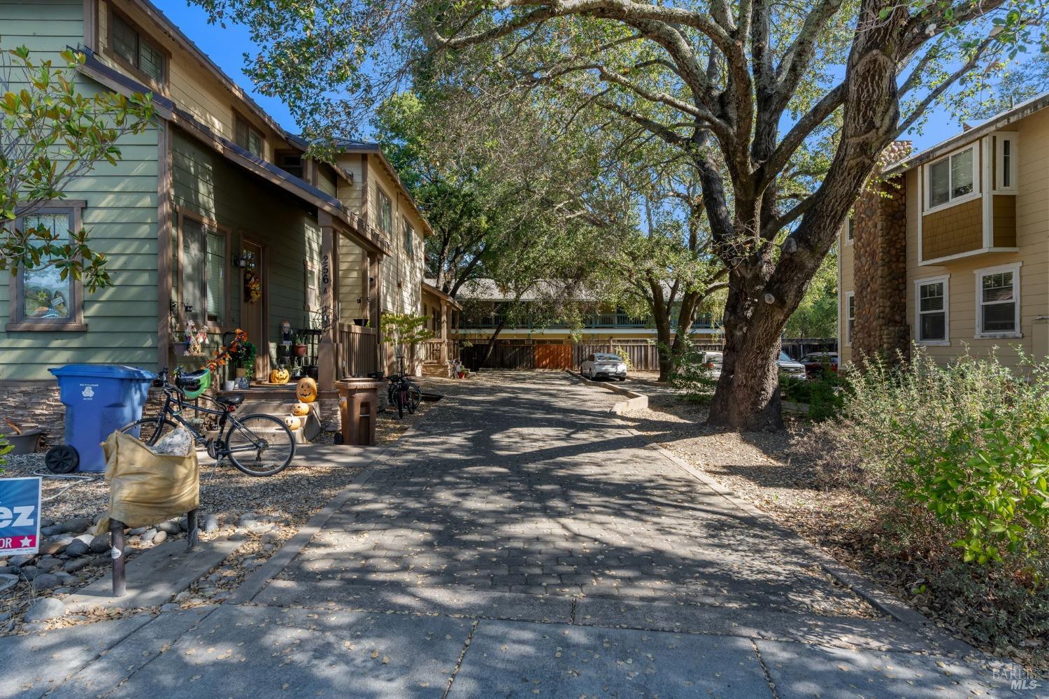 204 Rosebud Lane