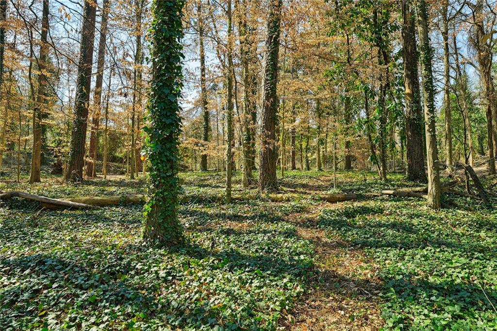 2452 Ridgewood Road NW