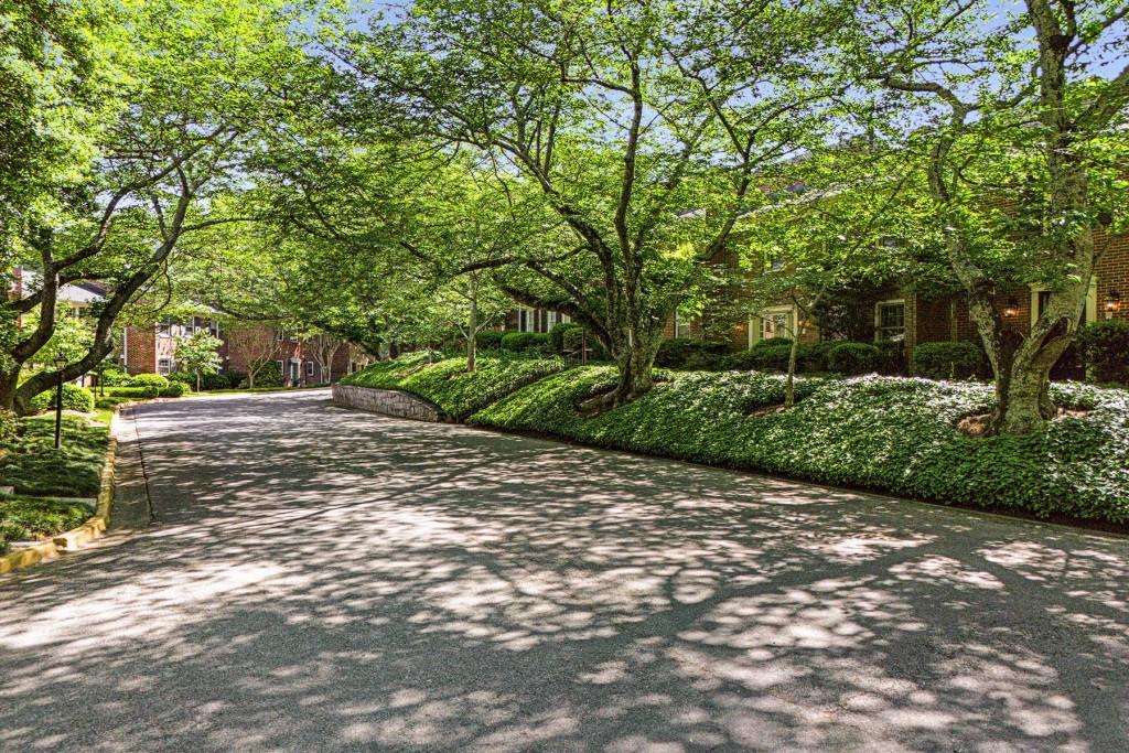 3050 Margaret Mitchell Drive Unit 1