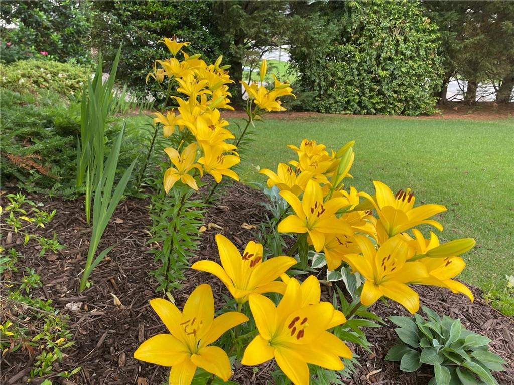 2619 Green Meadows Lane