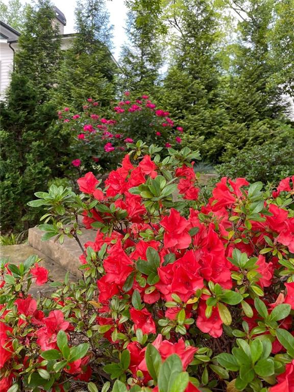 2619 Green Meadows Lane