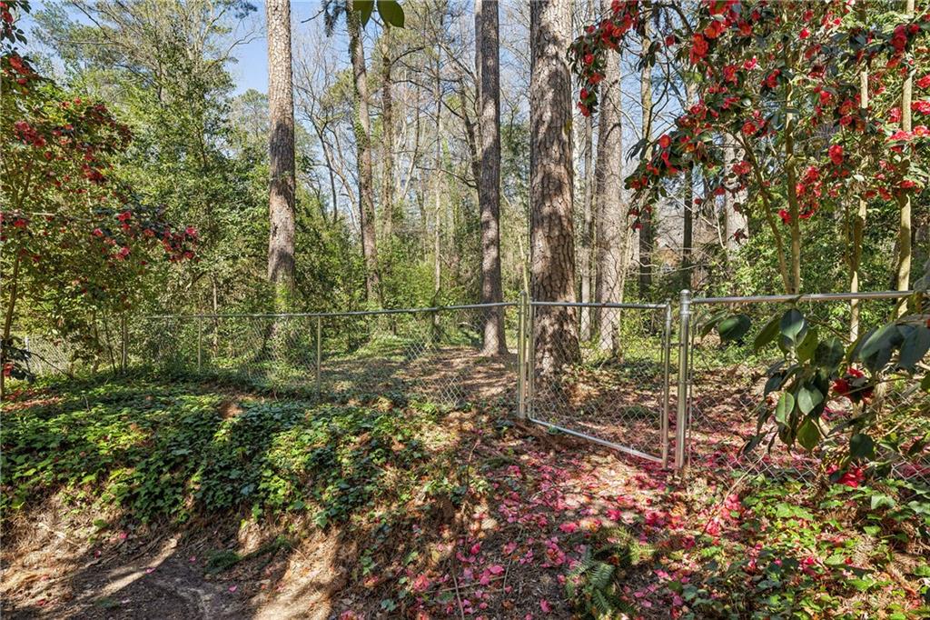 954 Winall Down Road NE