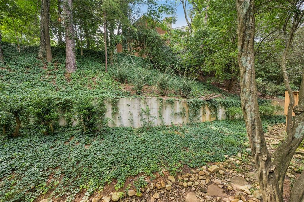 52 Ivy Chase NE
