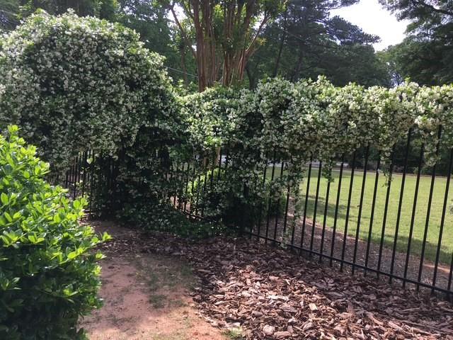 1436 Oak Grove Drive
