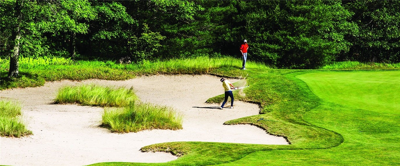 4 White Hawk Ridge