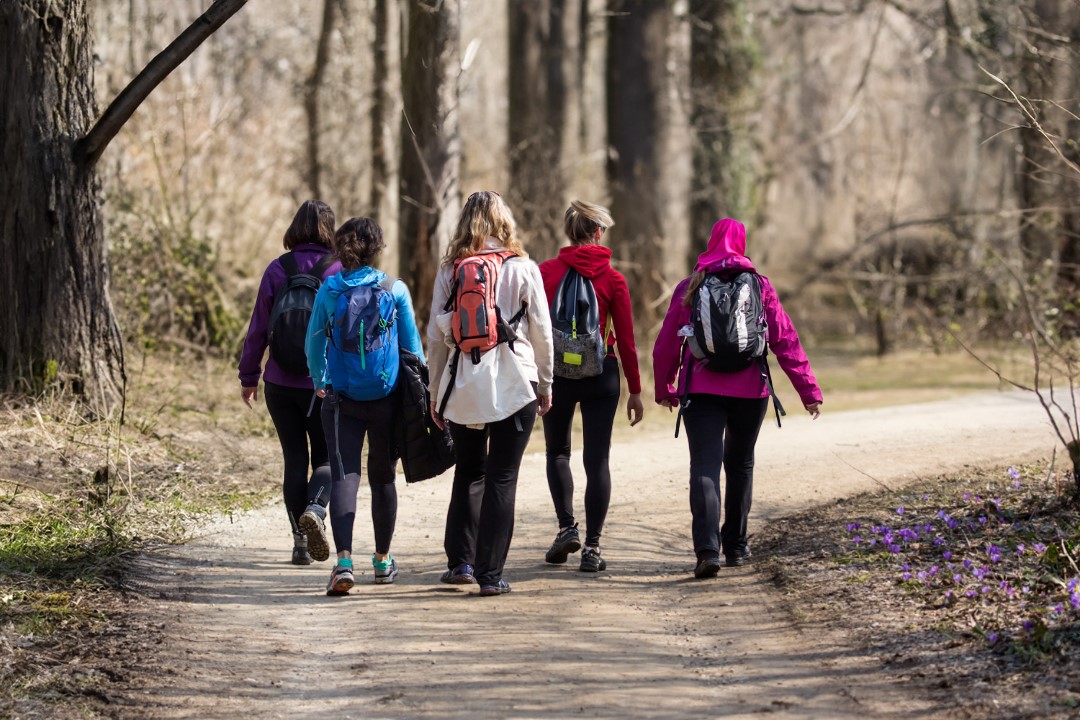 3 White Hawk Ridge Ridge