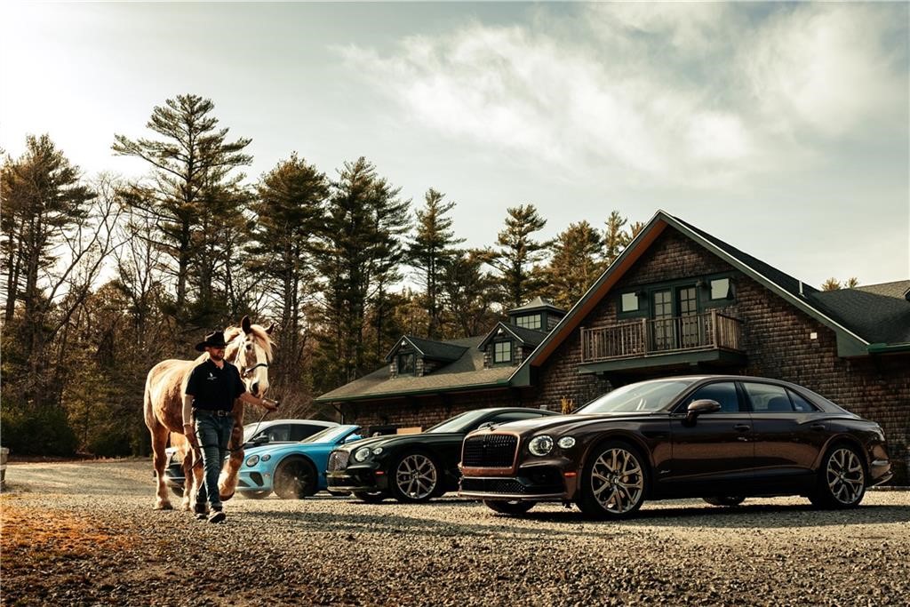 3 White Hawk Ridge Ridge