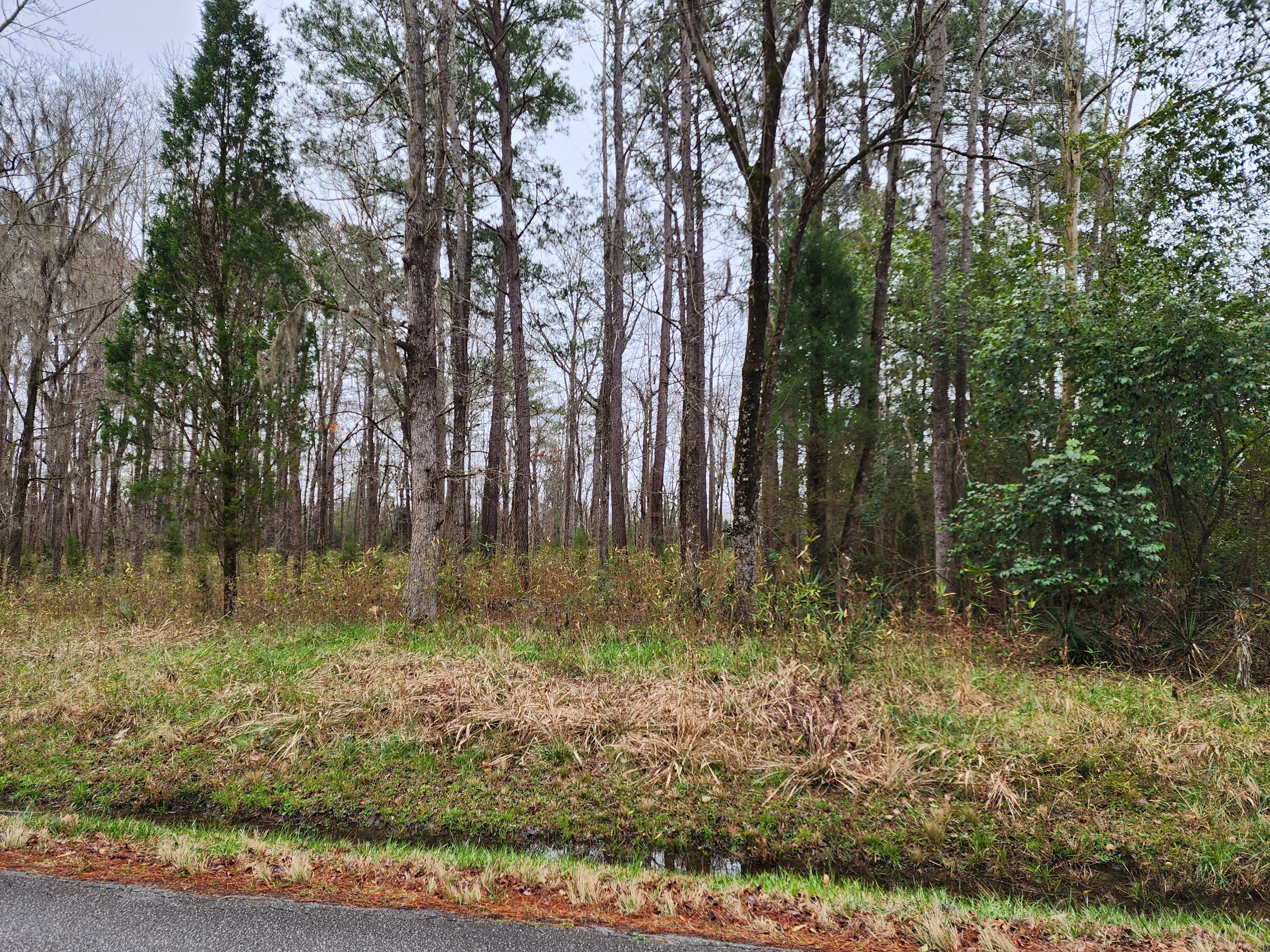 1302 Mccrae Drive