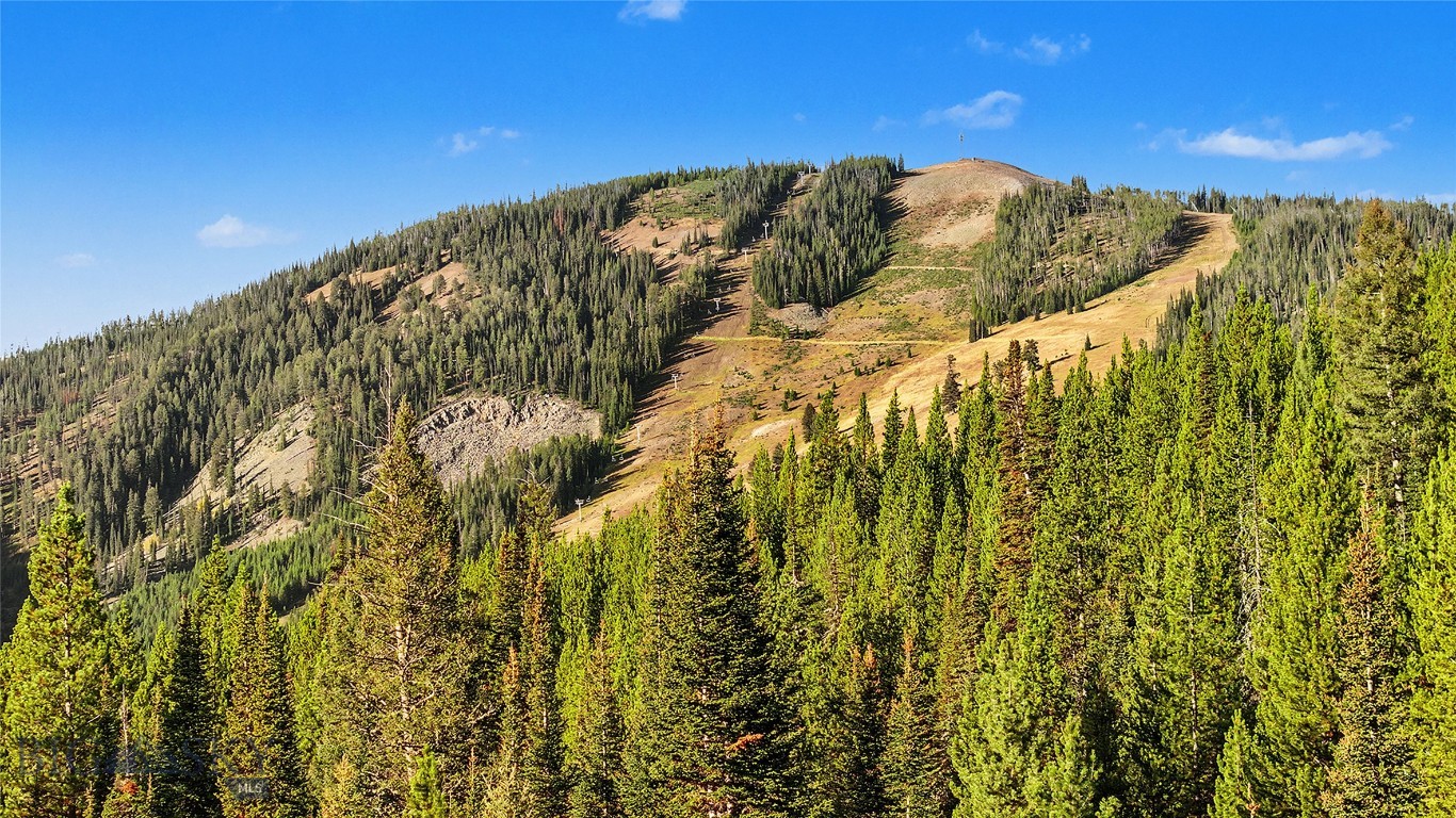 Mountain slope with ski runs rising above a dense evergreen forest.