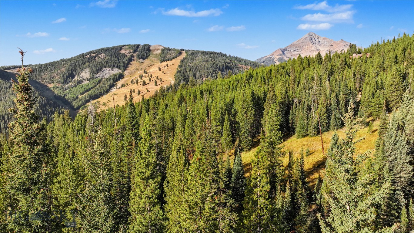 Mountain view over dense evergreen forest, golden slopes, and a rugged peak.