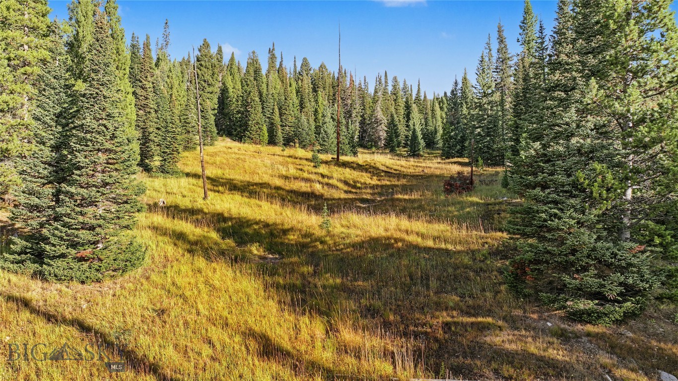 Grassy clearing surrounded by evergreen trees at 1 Ciel Drive.