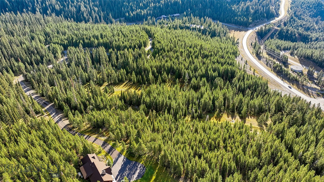Aerial view of a forest-surrounded home beside a winding driveway and road.