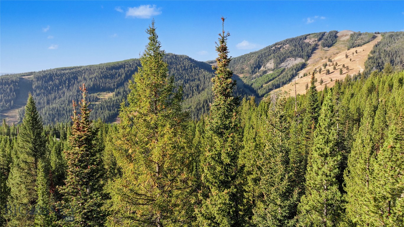 Evergreen forest overlooks mountain slopes beneath a clear blue sky.