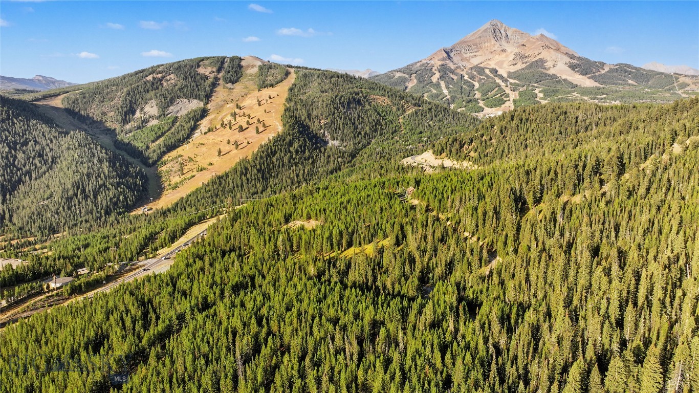 Aerial mountain view over dense evergreen forest, with ski trails and a winding road.