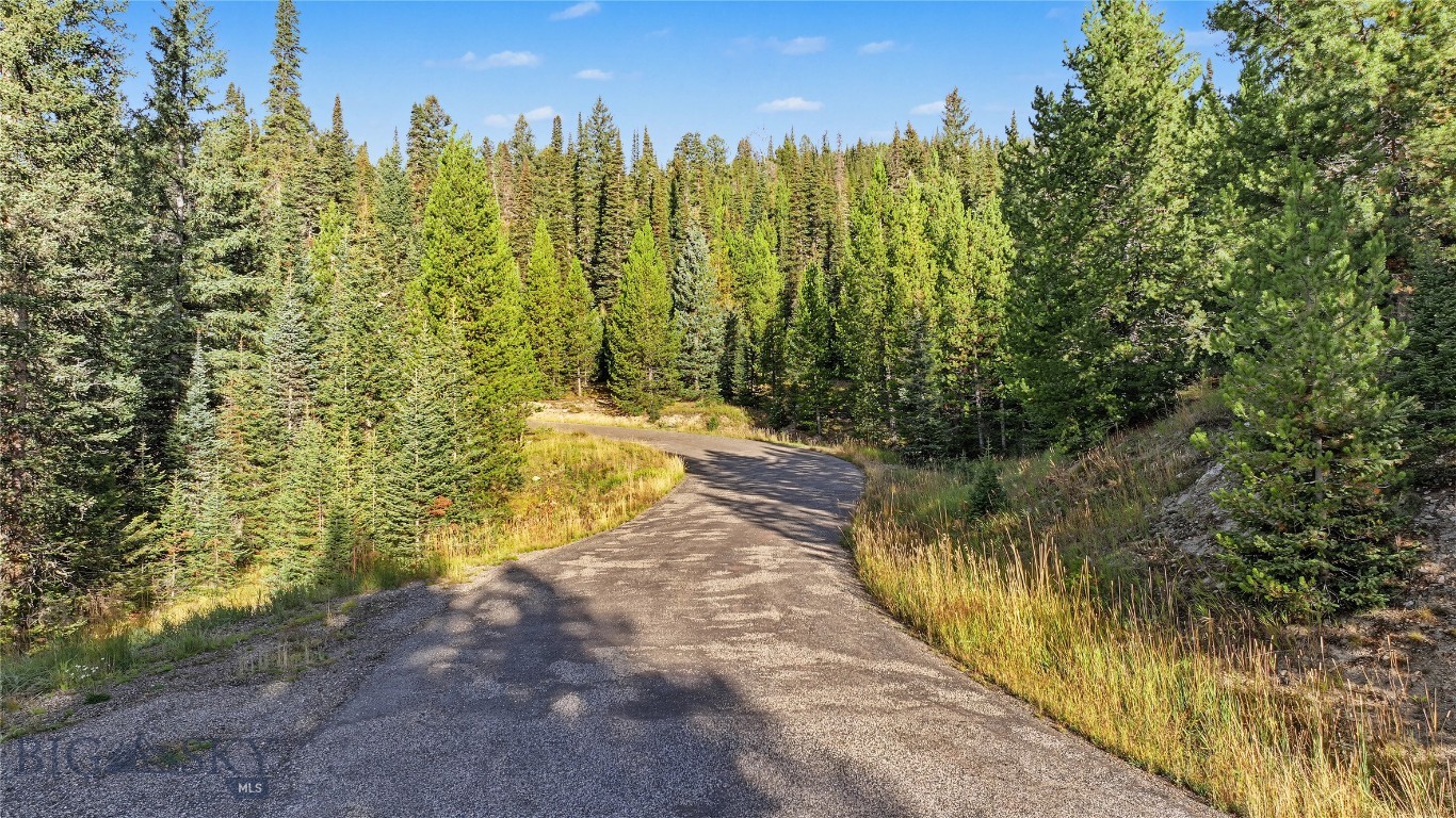 A paved road curves through dense evergreen forest at 1 Ciel Drive.
