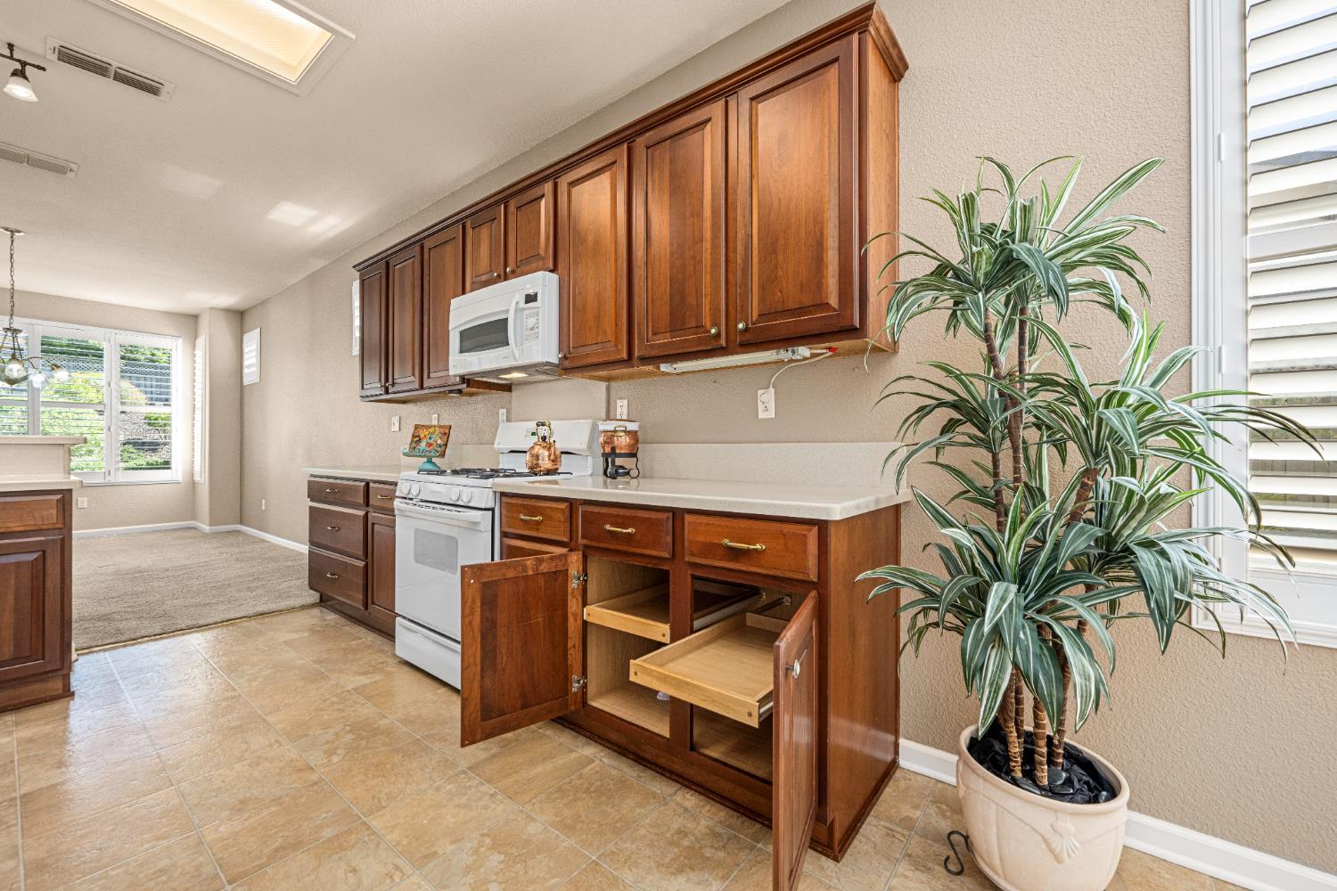 1018 Stone Pine Lane