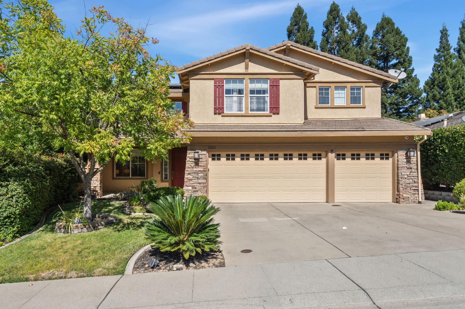 3203 Thistle Court