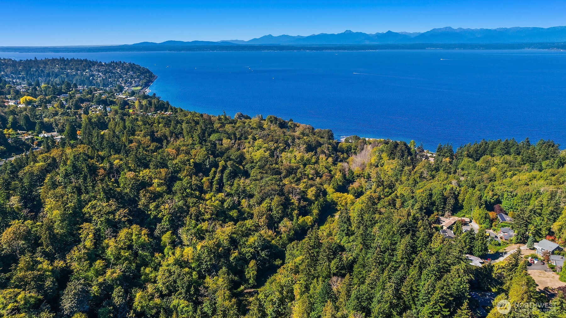 Aerial view of a wooded shoreline neighborhood, blue water, and distant mountains.