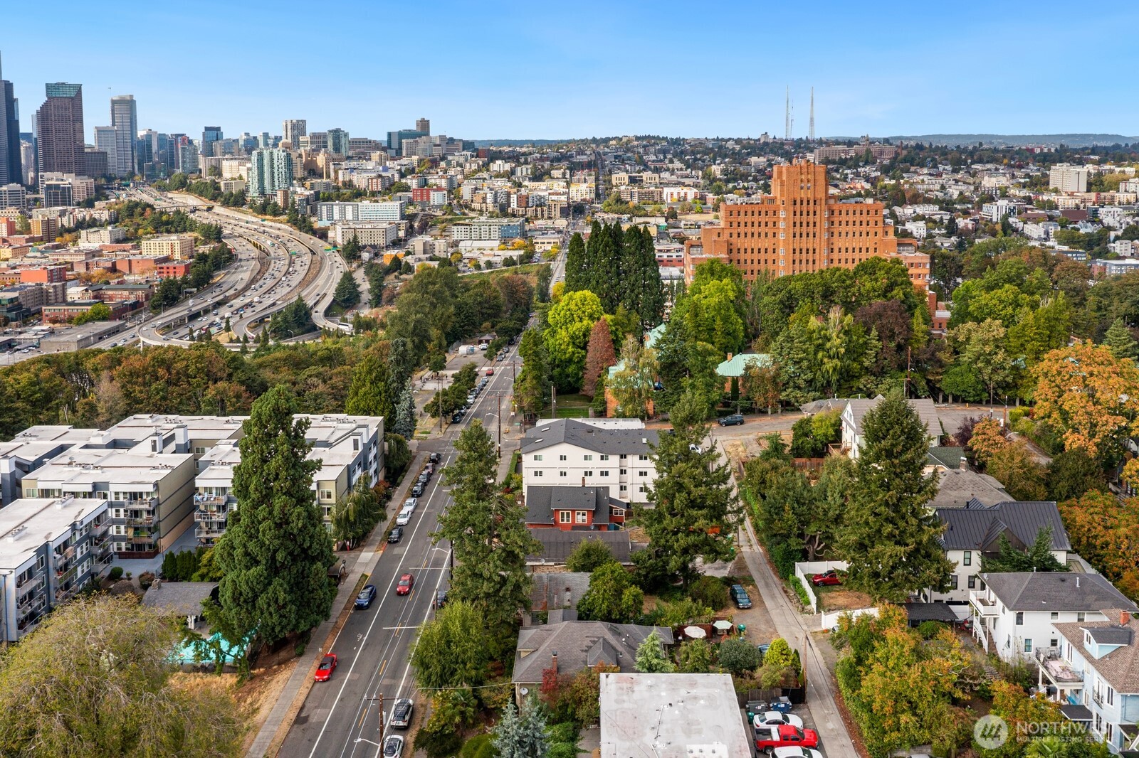 Aerial view of Seattle’s downtown skyline, elevated freeway, and leafy neighborhood.