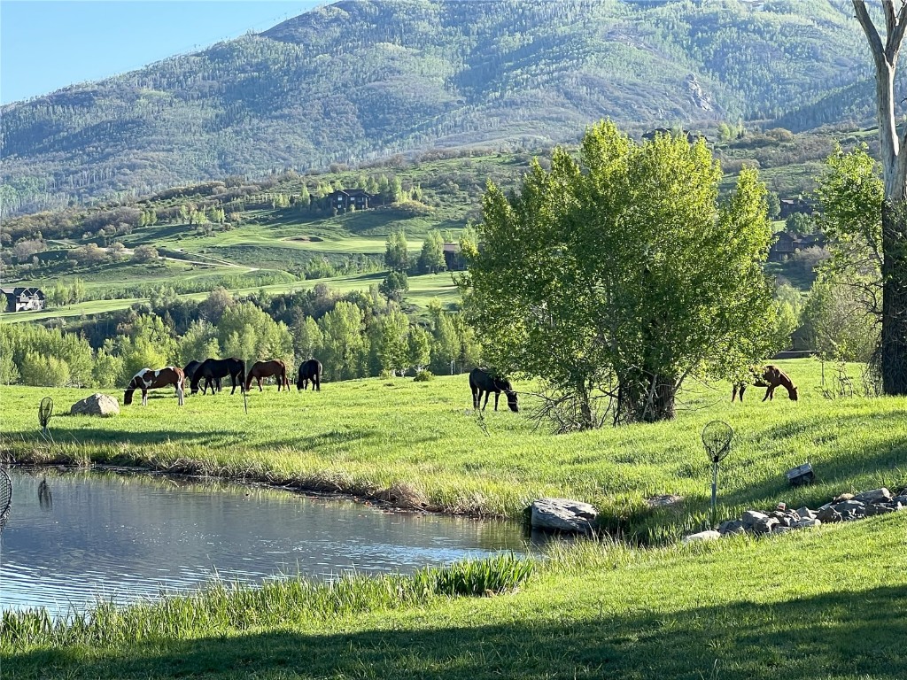 33690 E Us Highway 40