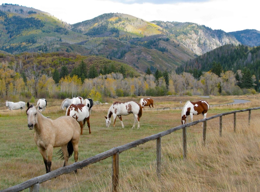 33690 E Us Highway 40