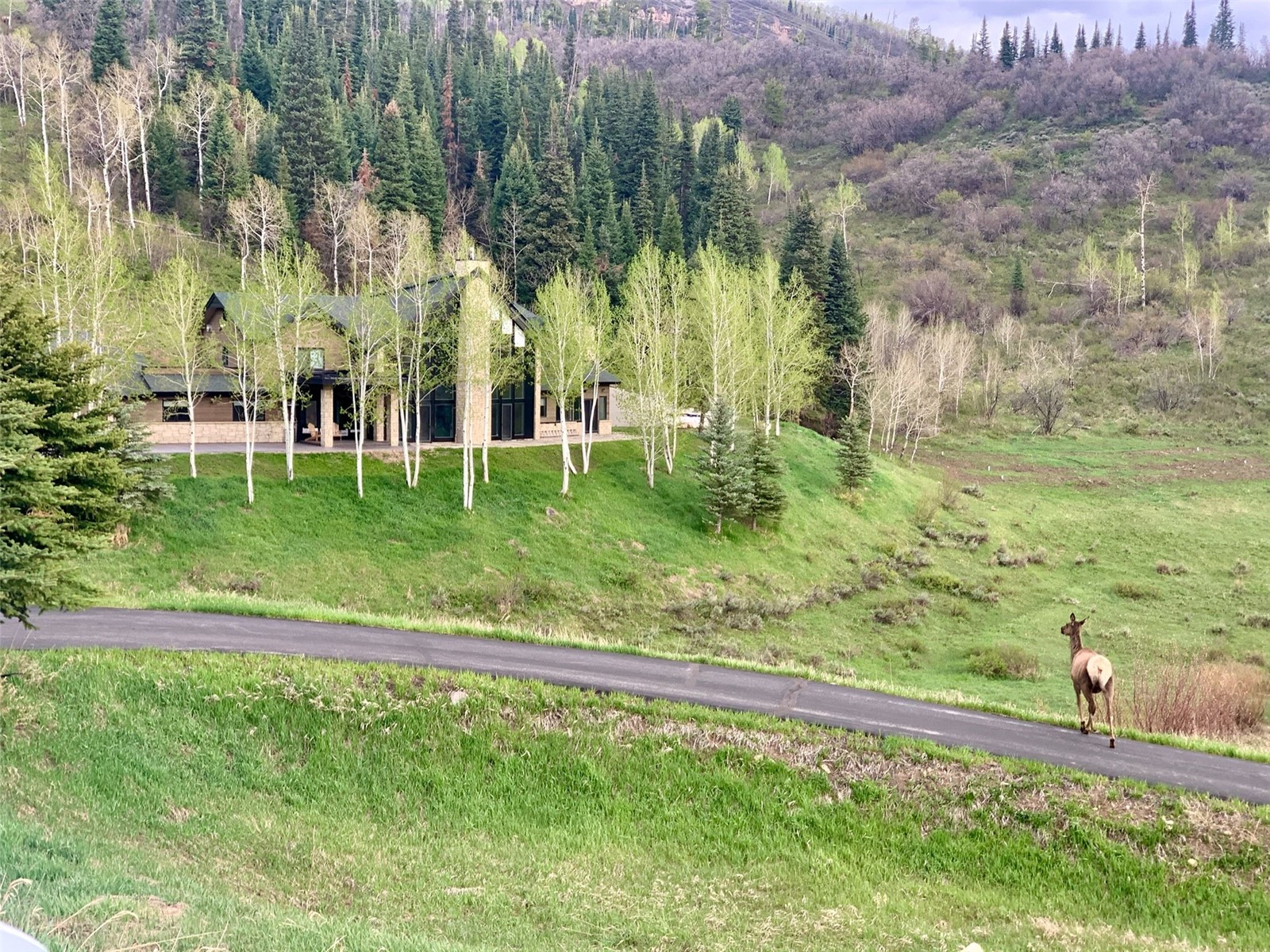 31655 Sugar Ridge ROAD