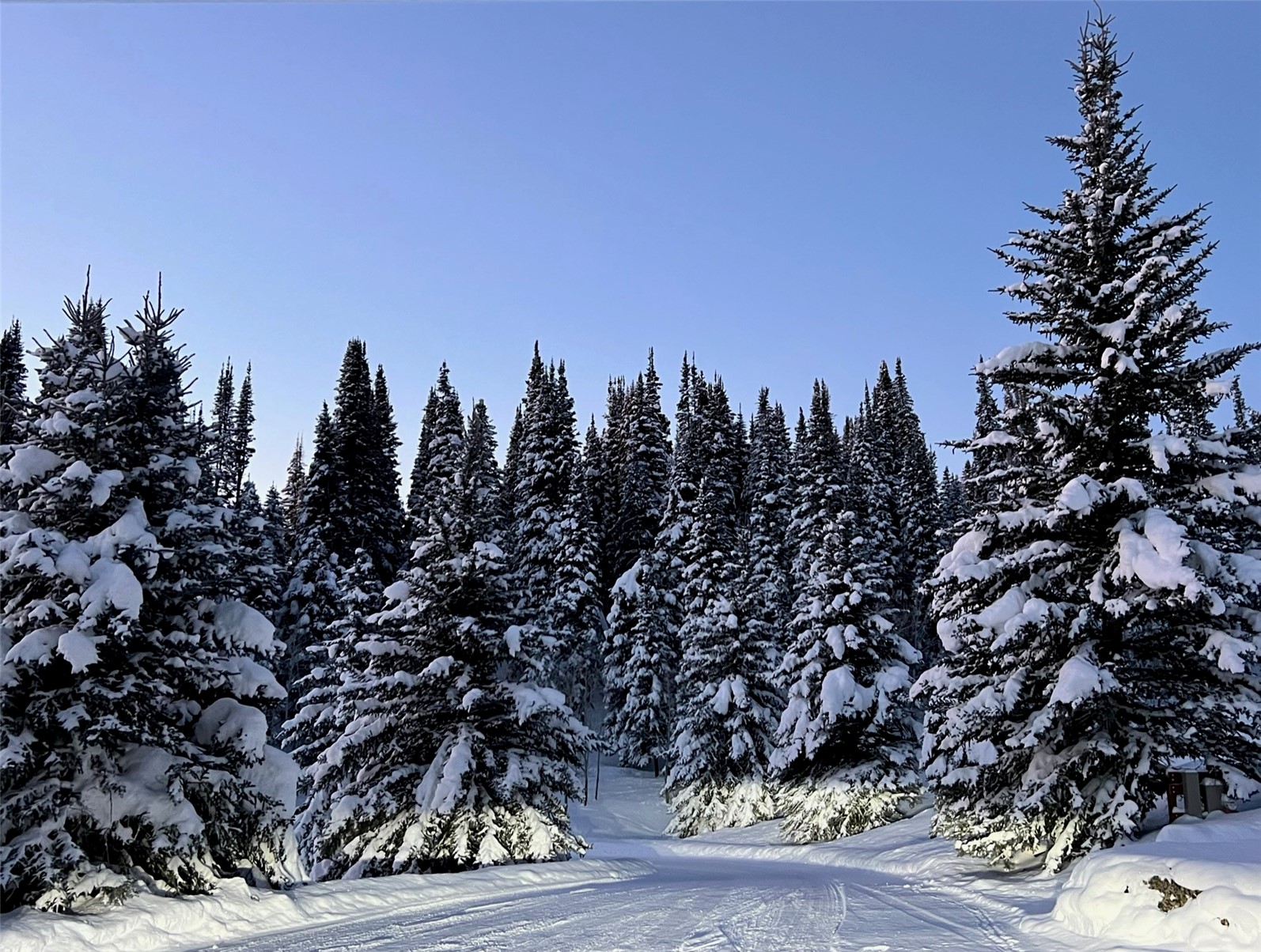 31655 Sugar Ridge ROAD