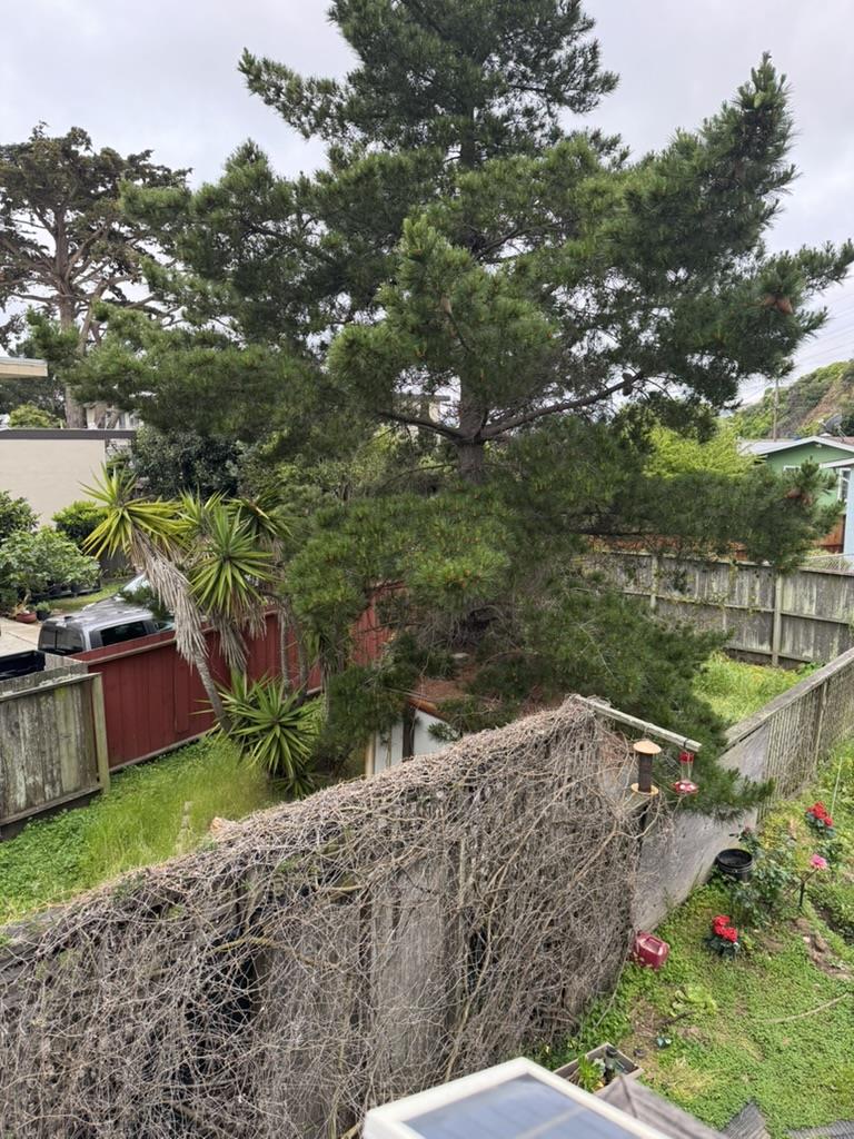 33 Lewis Avenue