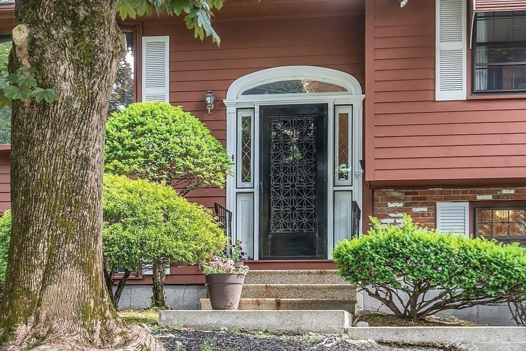4 Belfast St