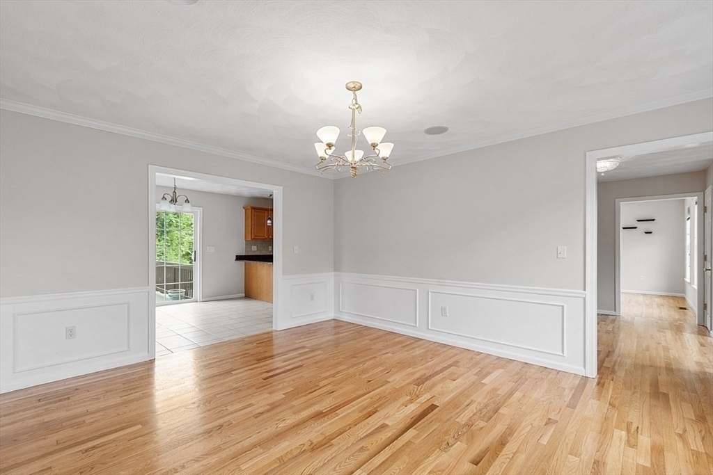 7 Pine St