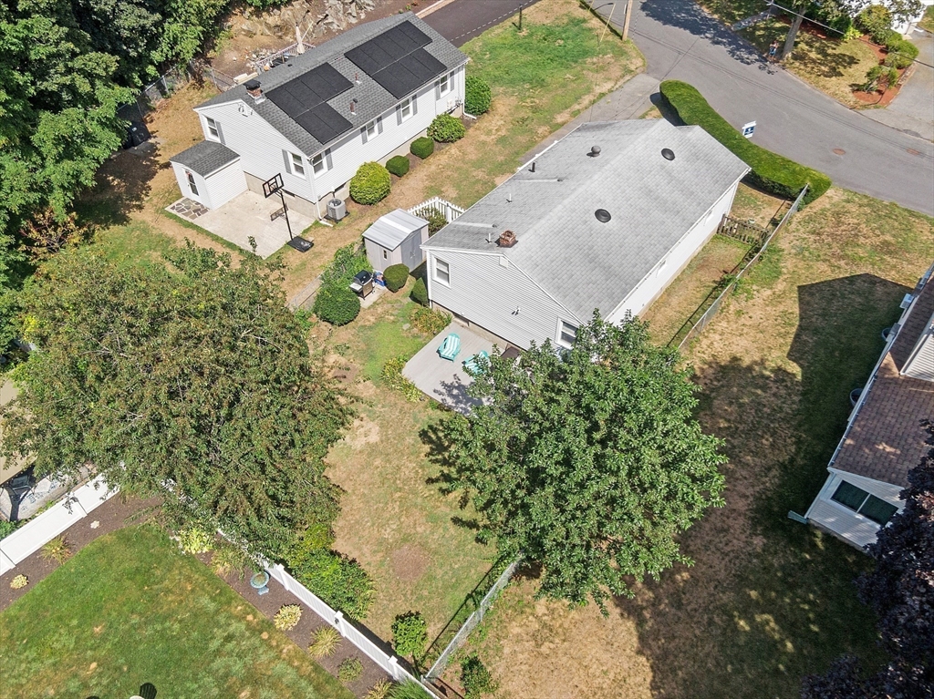 43 Bickford St