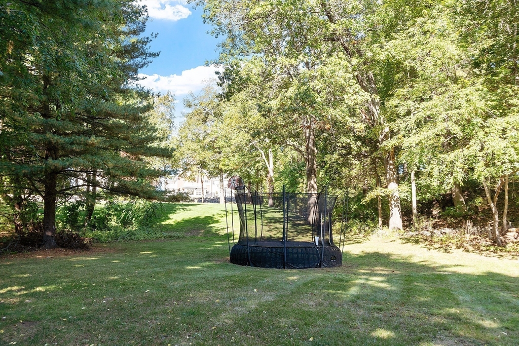 6 Needham Rd
