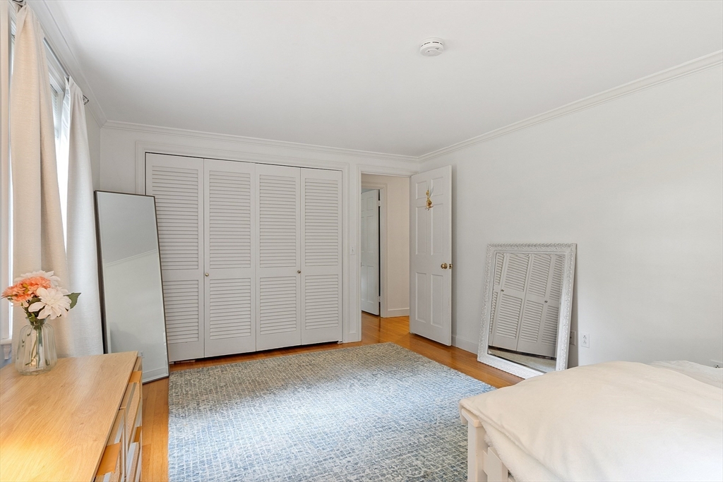 6 Needham Rd