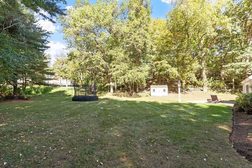 6 Needham Rd