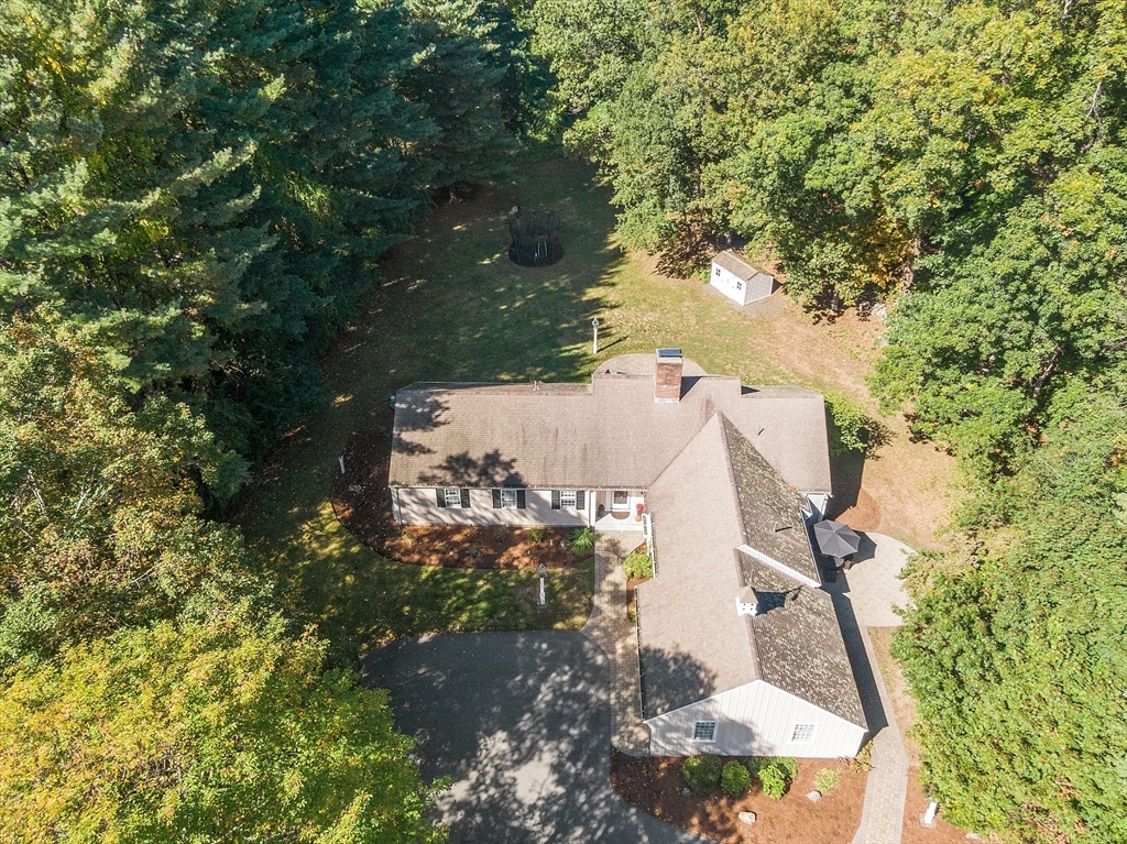 6 Needham Rd