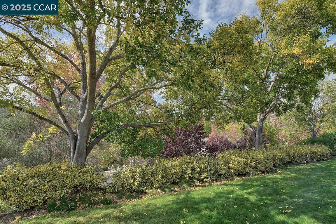 925 Terra California Dr # 1