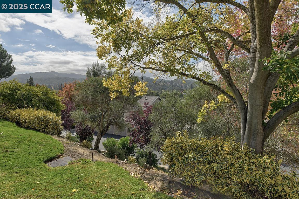 925 Terra California Dr # 1