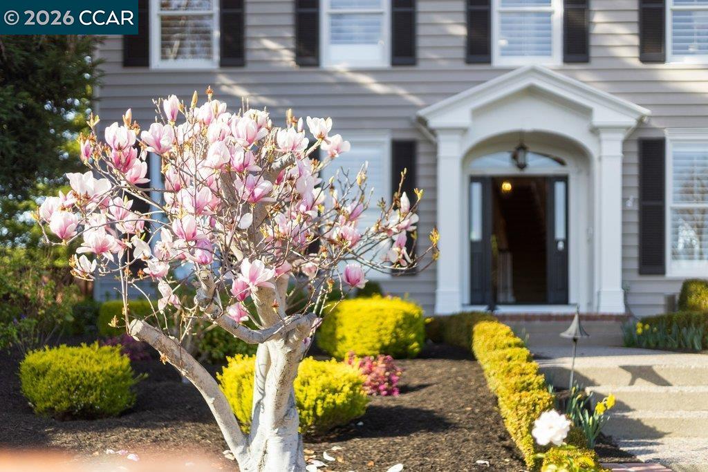 10 Crownridge Dr