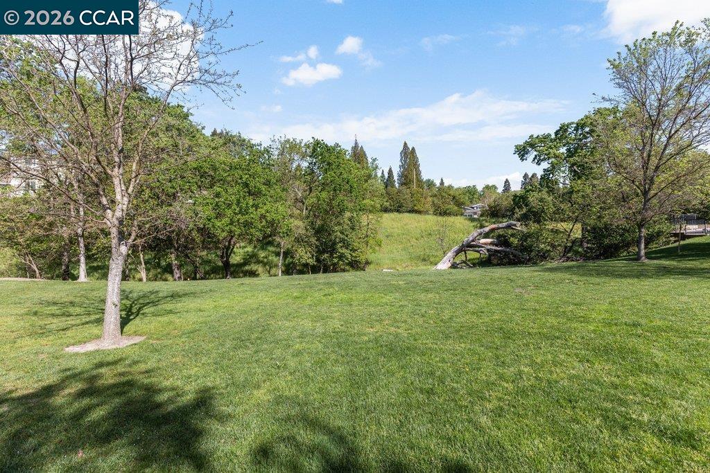 172 Sugarloaf Ct