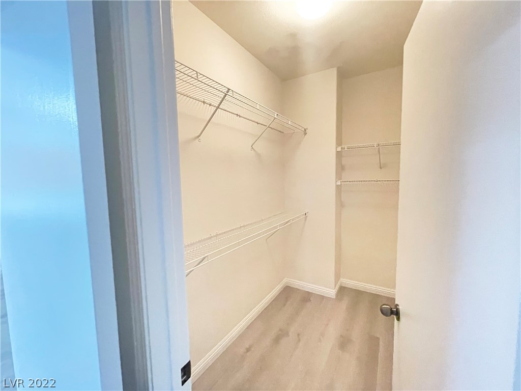2613 Bottle Palm Court