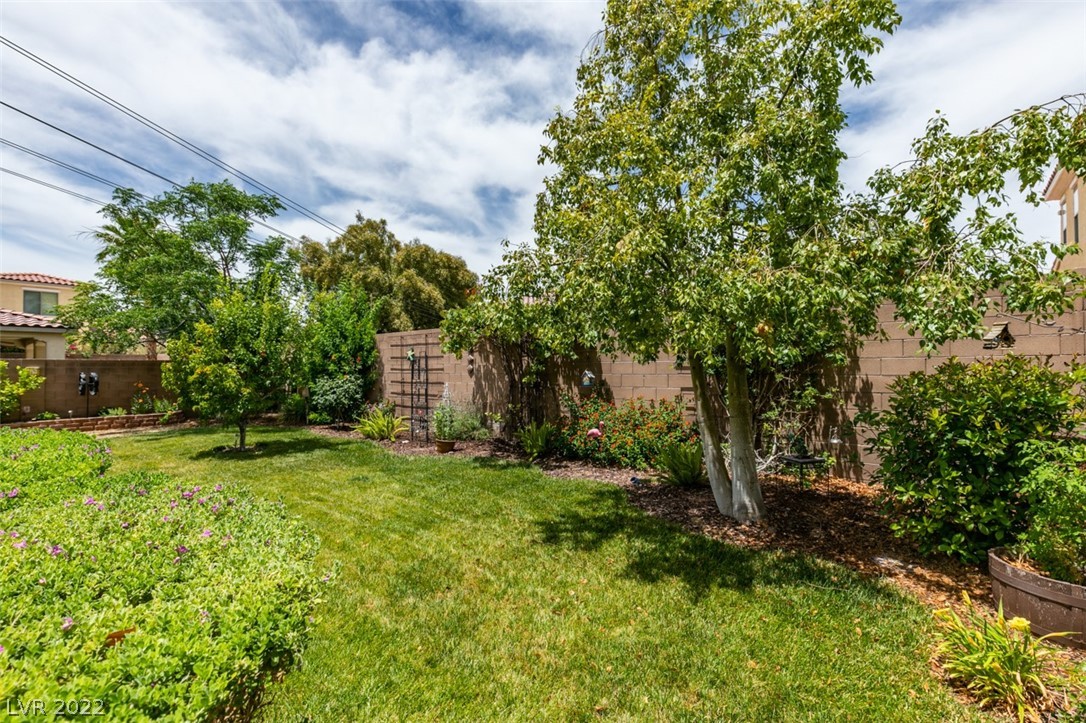 4412 Oasis Valley Avenue