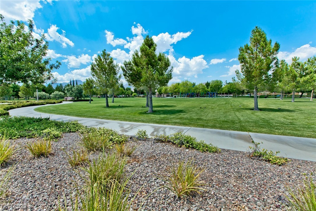 11233 Piper Peak Lane