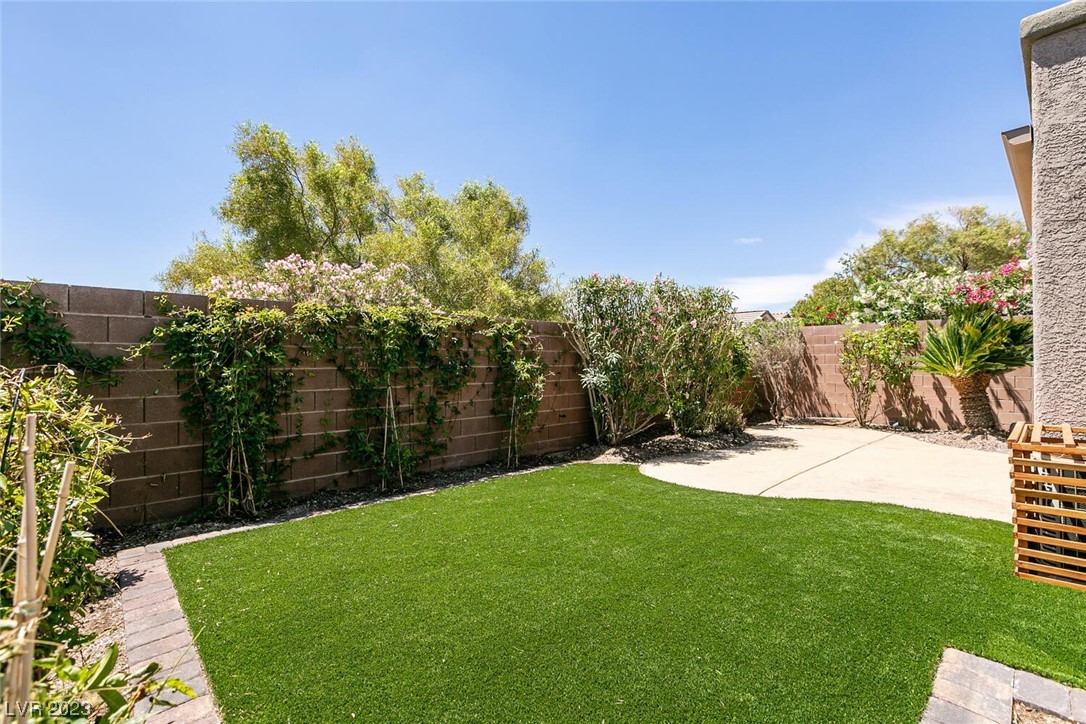 11233 Piper Peak Lane