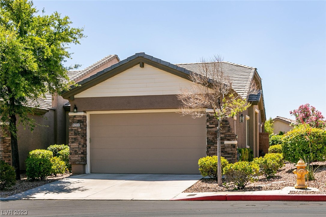 11233 Piper Peak Lane