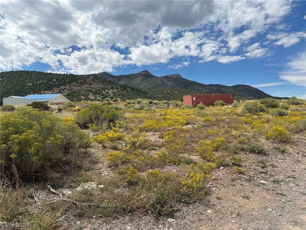 254 Dusty Trail
