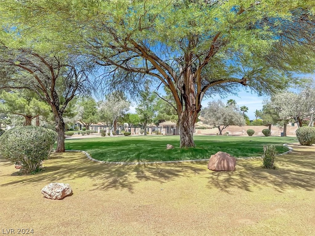 2806 Barrel Cactus Drive
